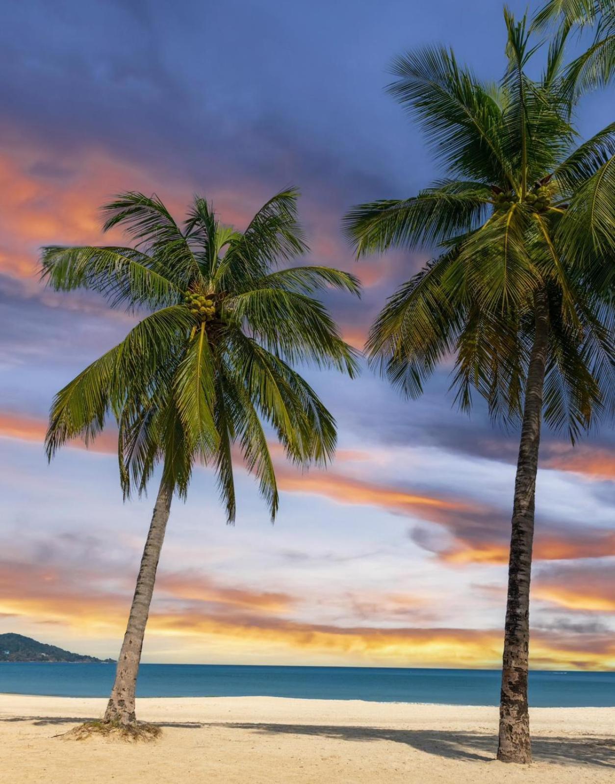 ฝันดี บูทิค โฮเต็ล ป่าตอง Hotel Patong ภายนอก รูปภาพ